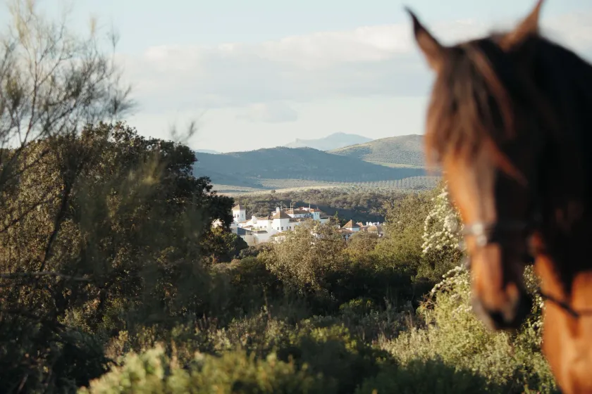 Finca La Bobadilla - The Leading Hotels of the World - Image 1