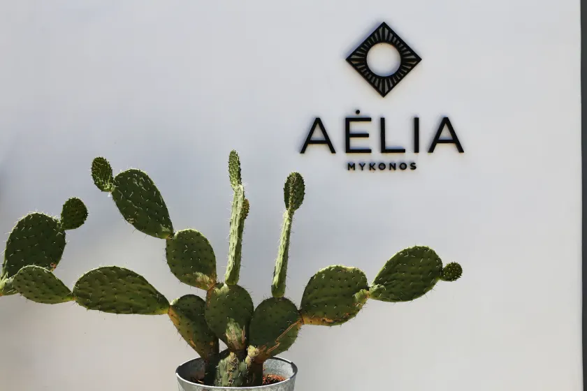 Aelia Mykonos - Image 1