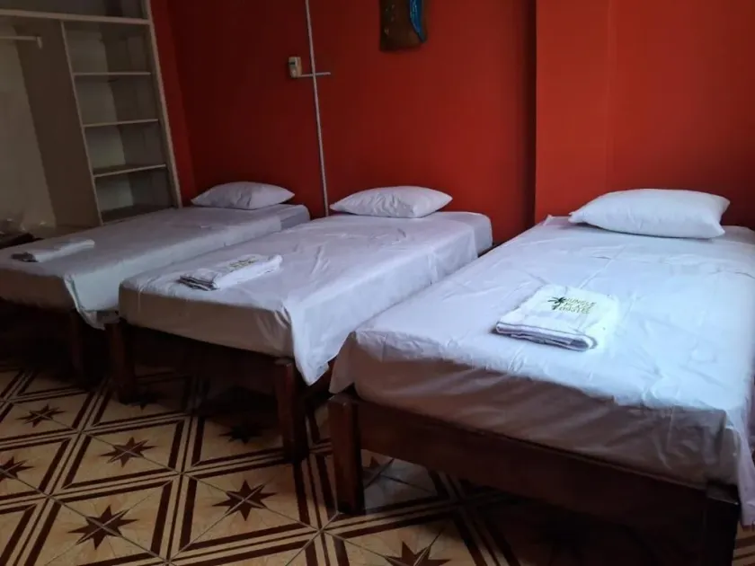 Plaza Jungle Hostel - Room