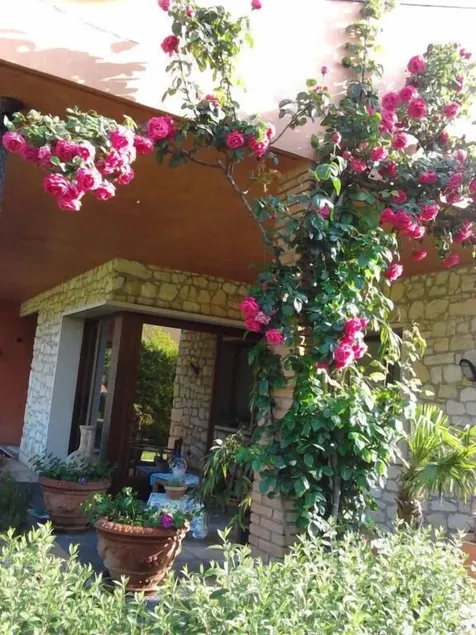 La Dolce Vita - Image 1