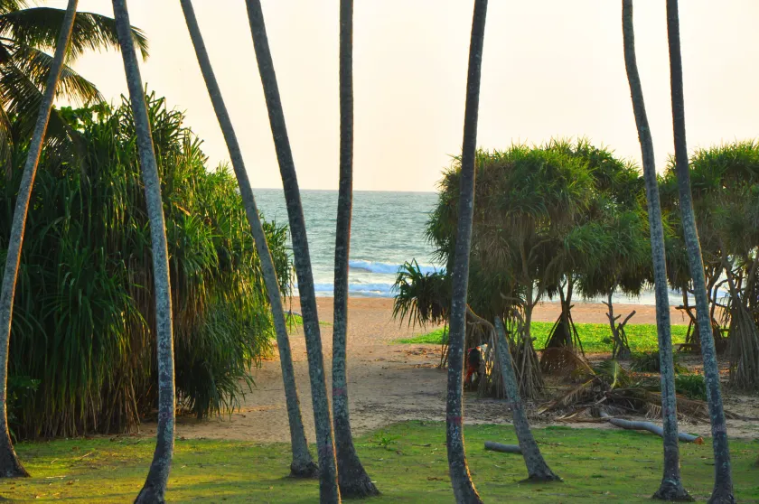 Ocean View - Image 1