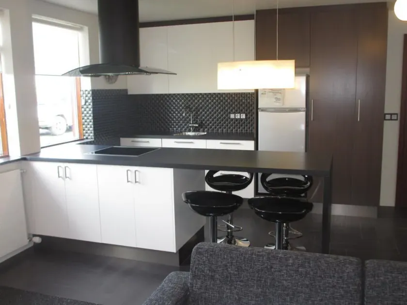 Ártún Apartment - Image 1