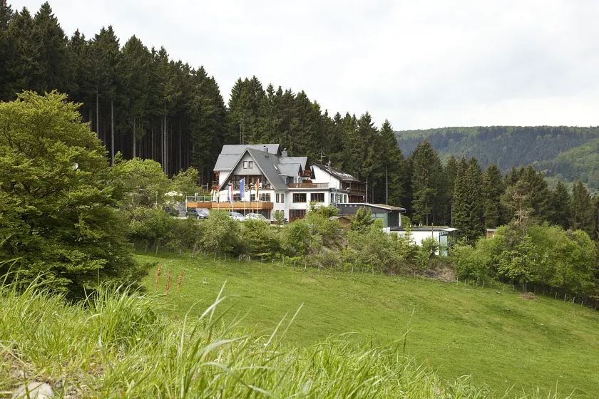 Wald Hotel Willingen - Image 1