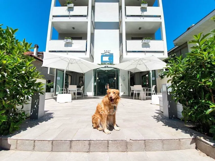 The One Hotel - Designed for Adults - Pet lovers - Image 1