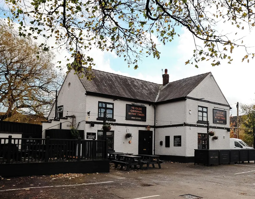Ye Olde Original Withy Trees - Image 1