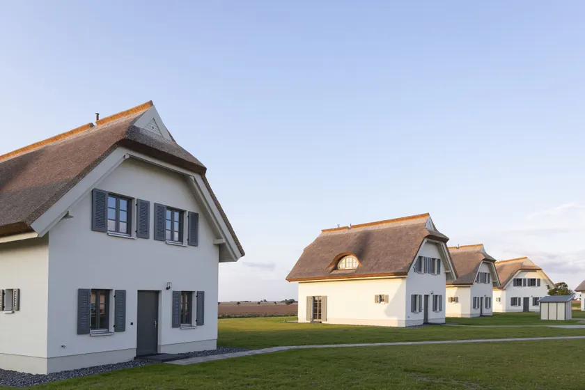 Reetland am Meer - Image 1