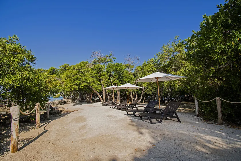 Isla Tijereto - Image 1