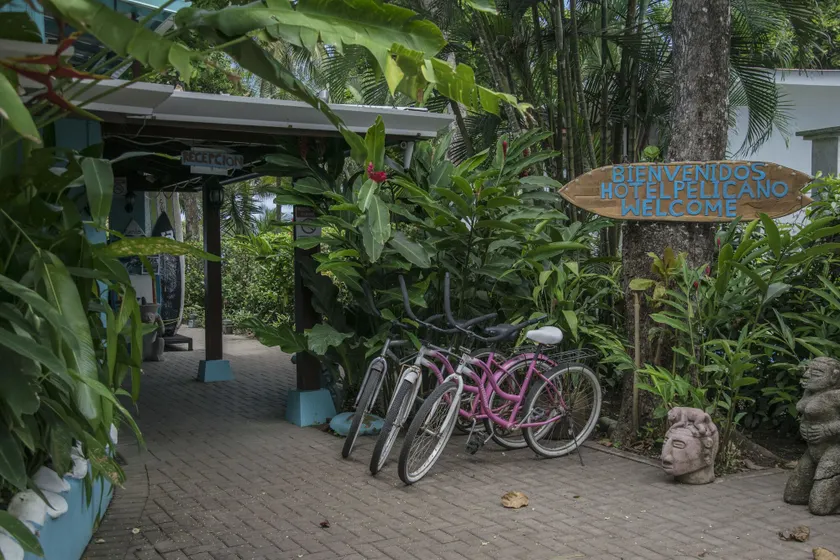 Pelican Beachfront Hotel - Image 1