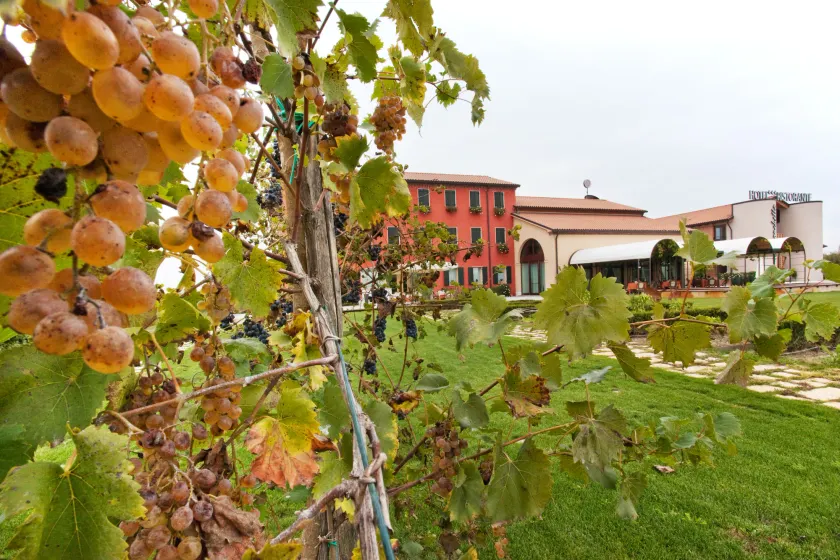 Borgo Ronchetto - Image 1