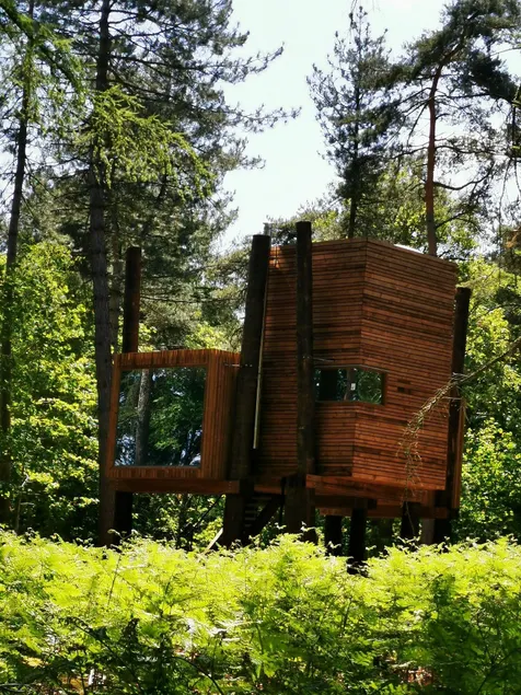 Luxury Tree Loft Tree Cabin for 4 People 4 - Image 1