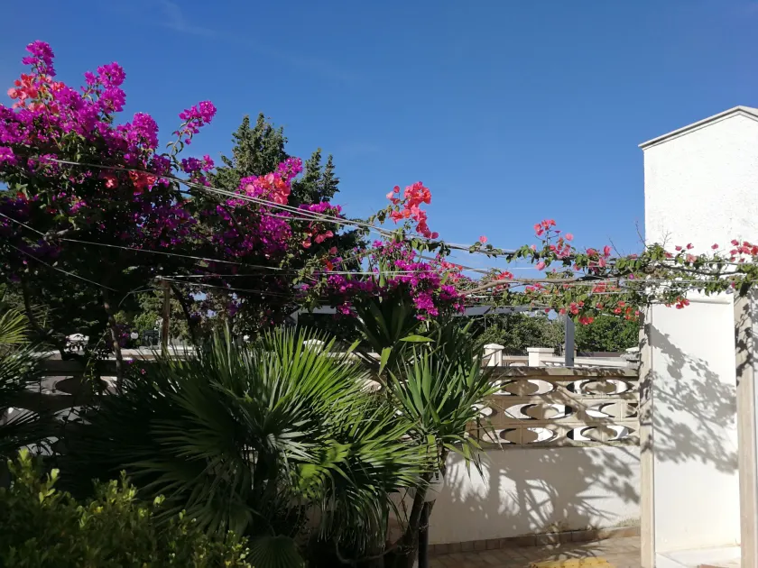Casa Vista Mare - Image 1