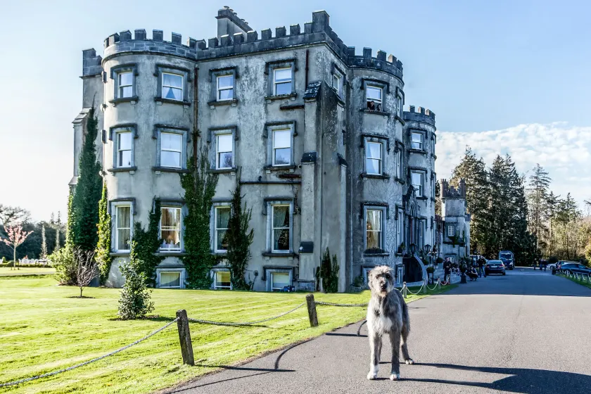 Ballyseede Castle - Image 1