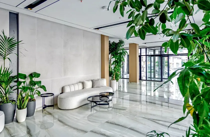 Bonita Luxury Resort & Spa - Lobby