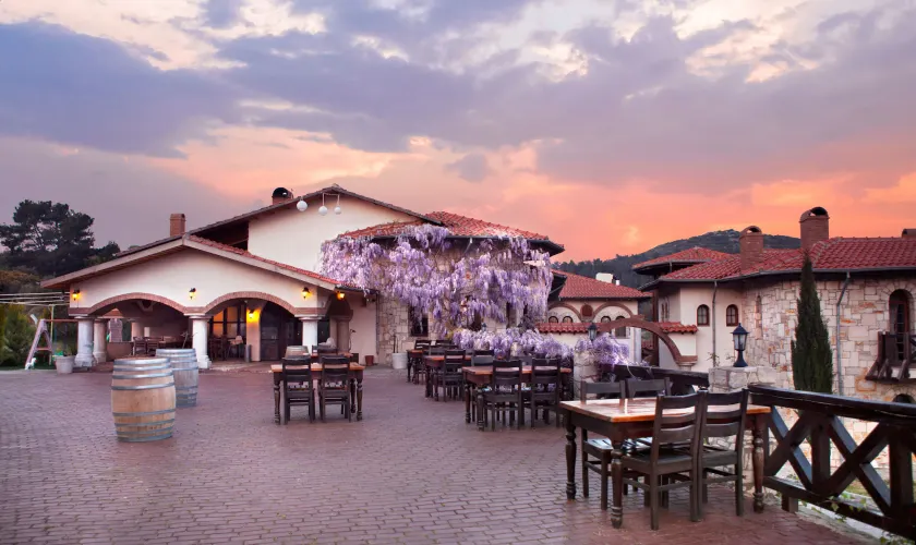 VINIFERA VINEYARDS HOTEL - Image 1
