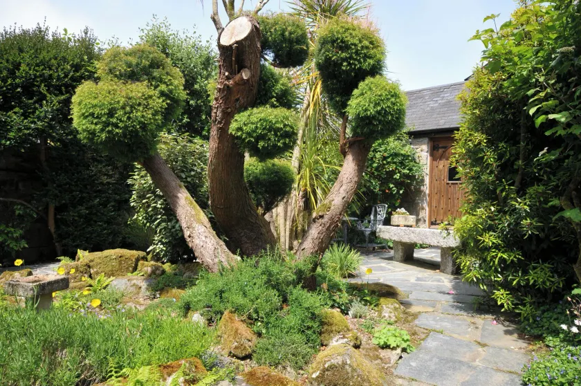 Trevenning kapel, BODMIN - Image 1