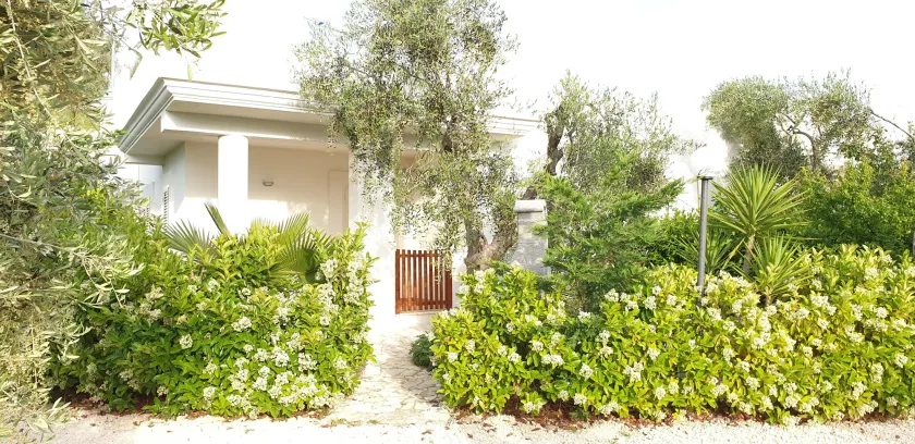 I Gerani - Image 1