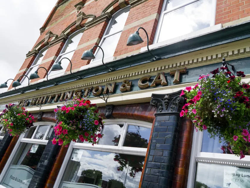 The Whittington and Cat - Image 1