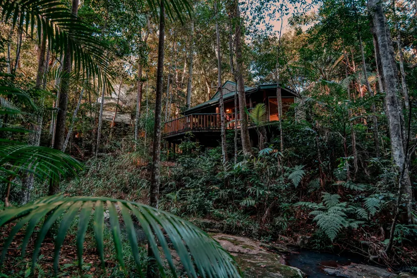 Narrows Escape Rainforest Retreat - Image 1