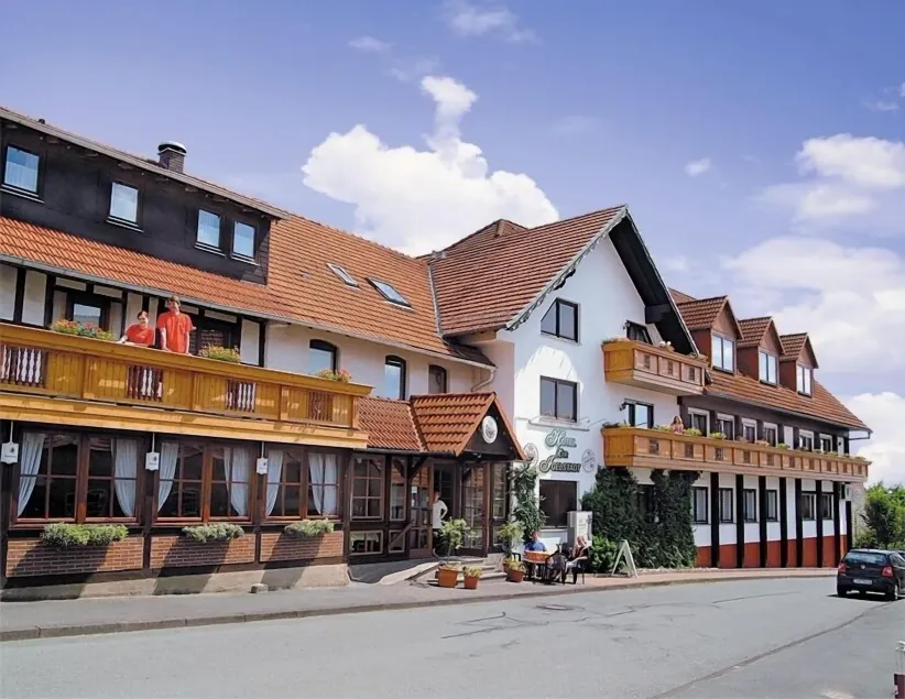 Hotel Zur Igelstadt - Image 1