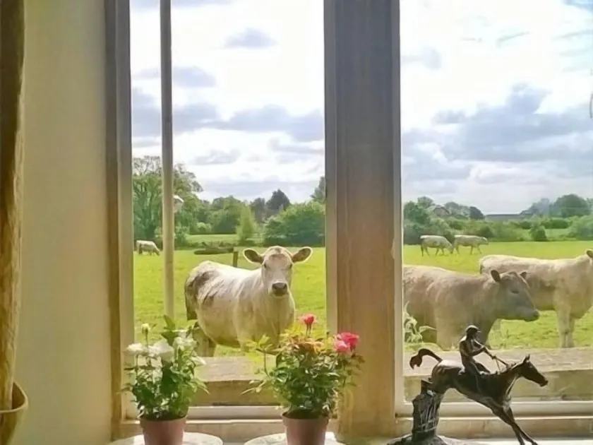 Battens Farm Cottages - B&B and Self-Catering Accommodation - Image 1