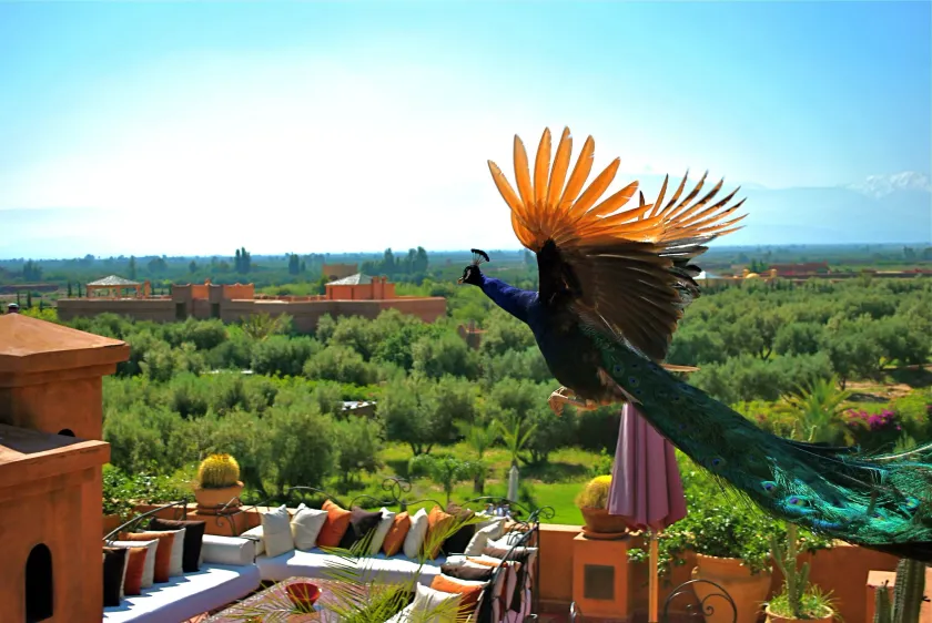Riad Al Mendili Private Resort & Spa - Image 1