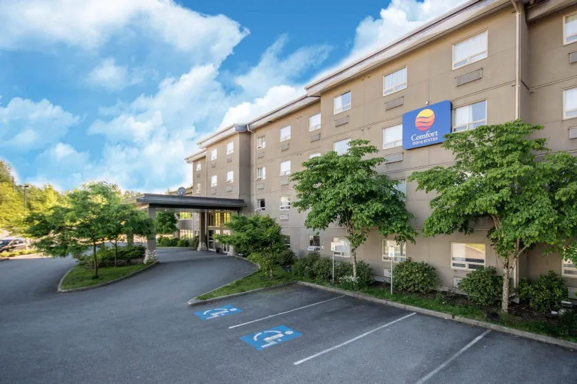 Comfort Inn & Suites - Image 1