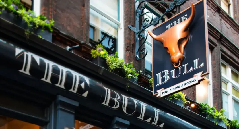 The Bull and The Hide - Image 1