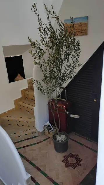 Riad les ANGES DU DESERT - Entrée intérieure