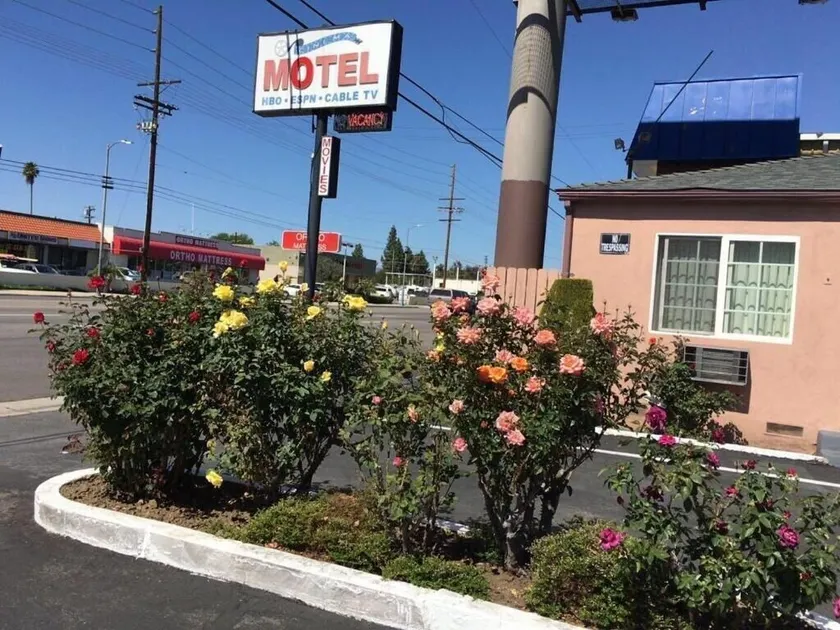 CINEMA MOTEL - Image 1
