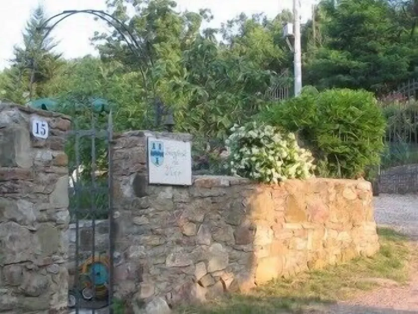 Lionforti Da Vico - Image 1