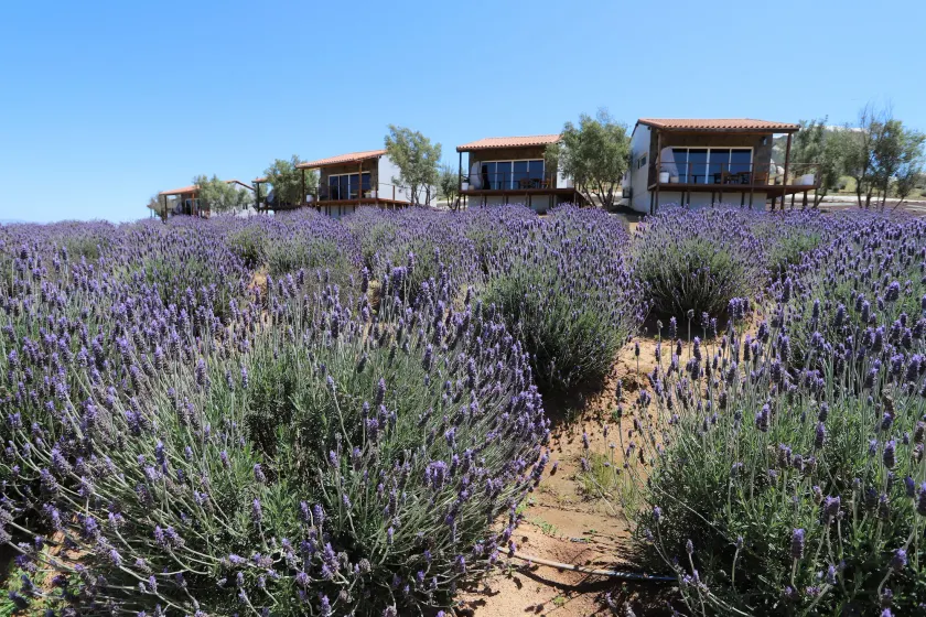 Montevalle Resort and Spa - Image 1