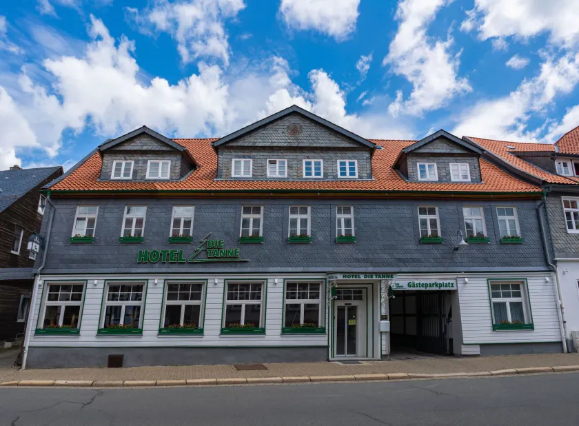Hotel Die Tanne - Image 1