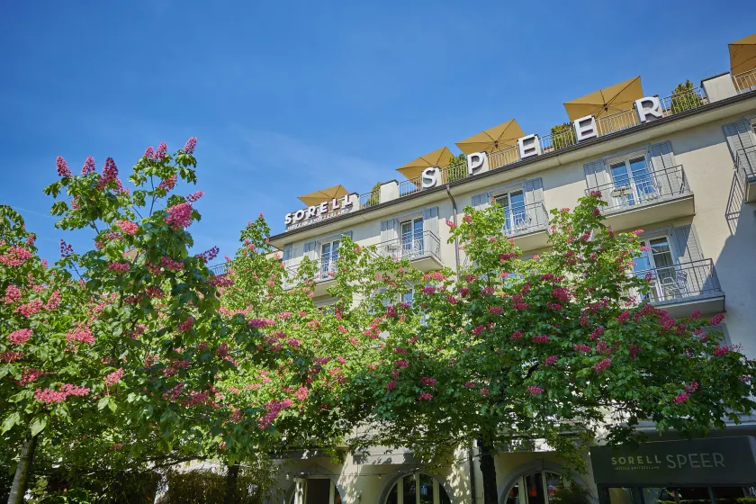 Sorell Boutique-Hotel Speer Rapperswil - Image 1