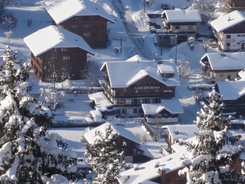 Fleur des Neiges - Image 1