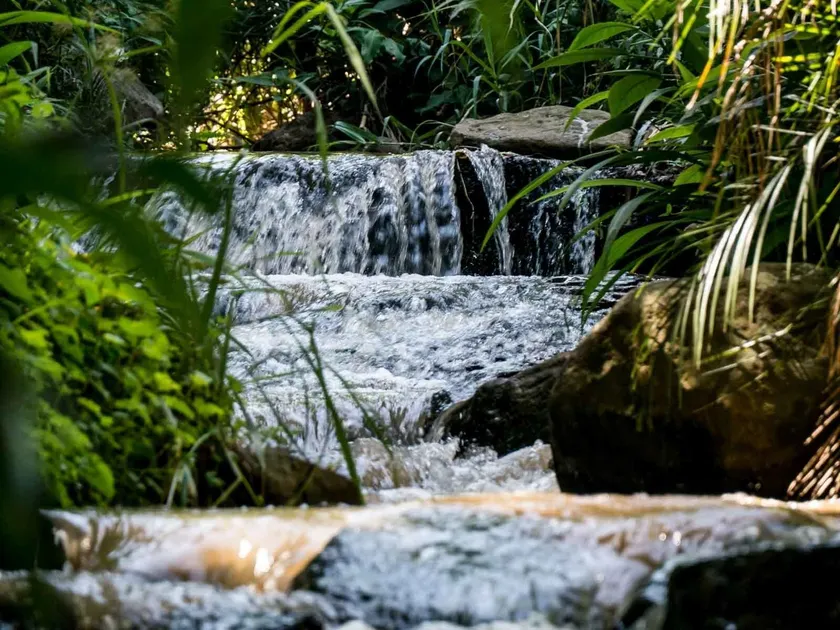 Africa's Eden Guesthouse - Image 1