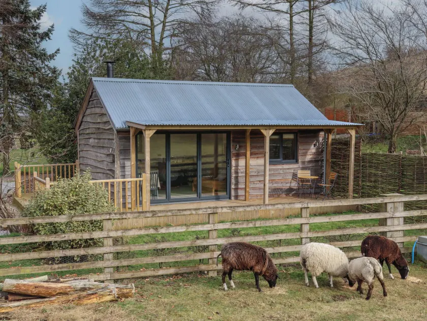 Beech Tree Cabin - Image 1