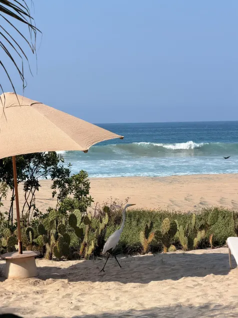 Casa Mariposa Beach Hotel - Image 1