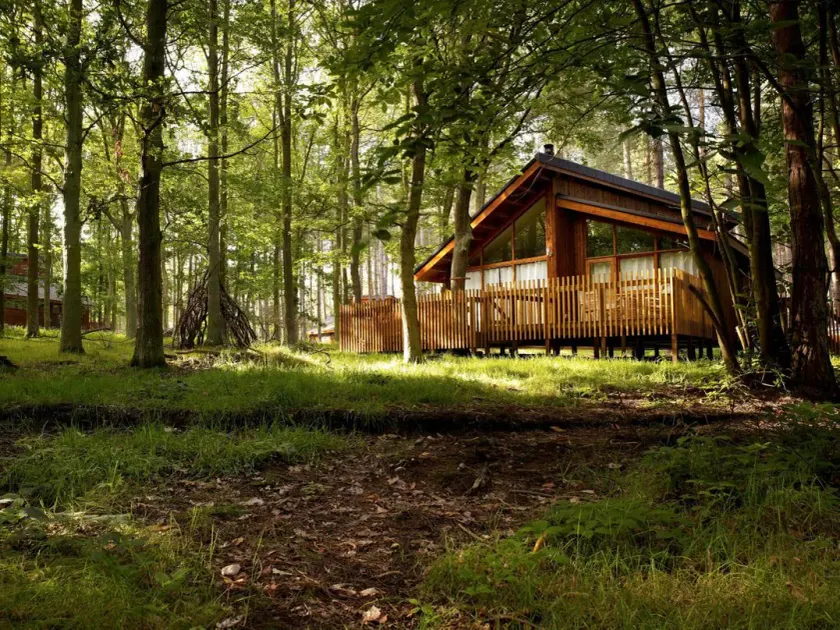 Thorpe Forest Cabins - Forest Holidays - Image 1