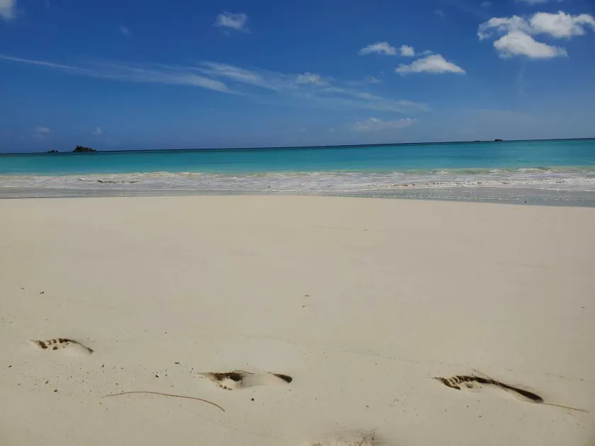 Cote d'Or Footprints - Image 1