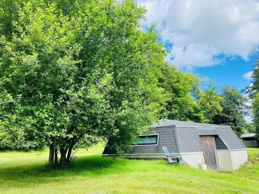 L'étape en forêt - Image 1