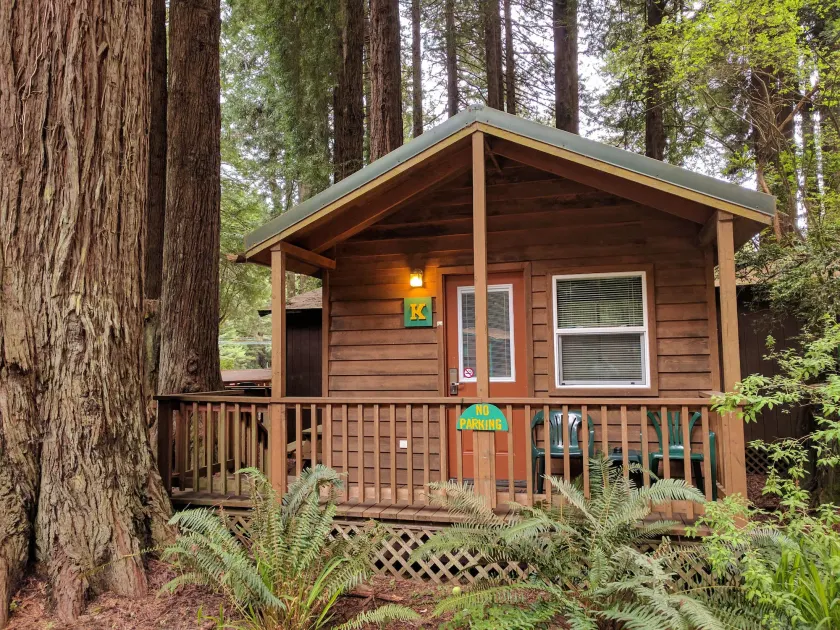Emerald Forest Cabins - Image 1