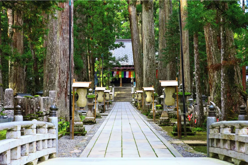 Sanso Amanosato - Image 1
