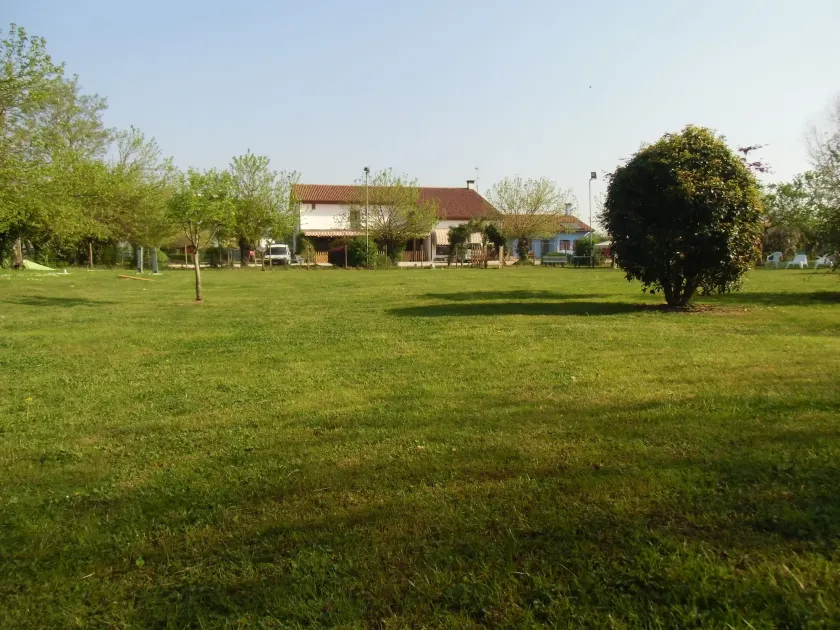 Agriturismo il Podere Vedelago con San Bernardo, Alpaca e una Pentola di cose da scoprire - Image 1