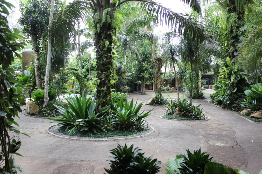 The Jungle Pots - Image 1