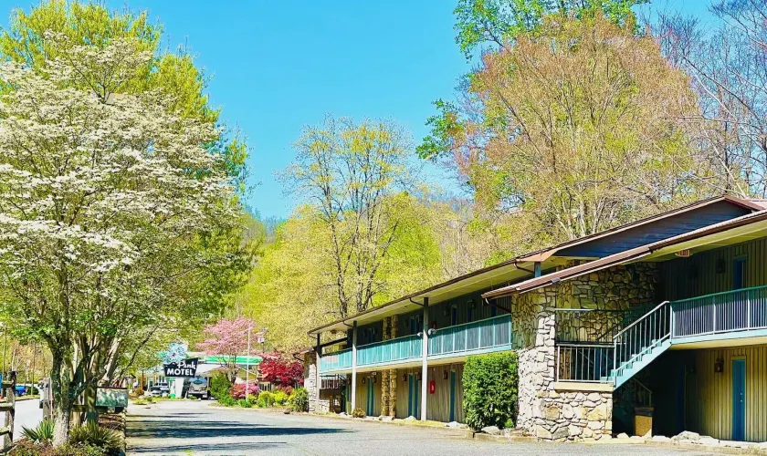 Newfound Lodge on the river - Image 1