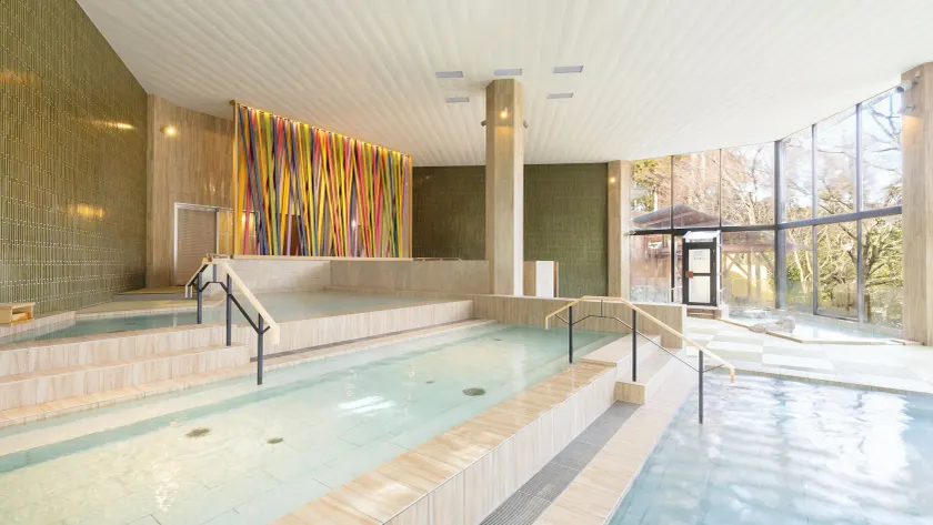 Ooedo Onsen Monogatari Premium Yamanaka Grand Hotel - Image 1