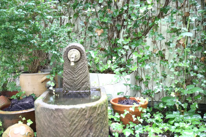Hotel Pilar Garni - Image 1