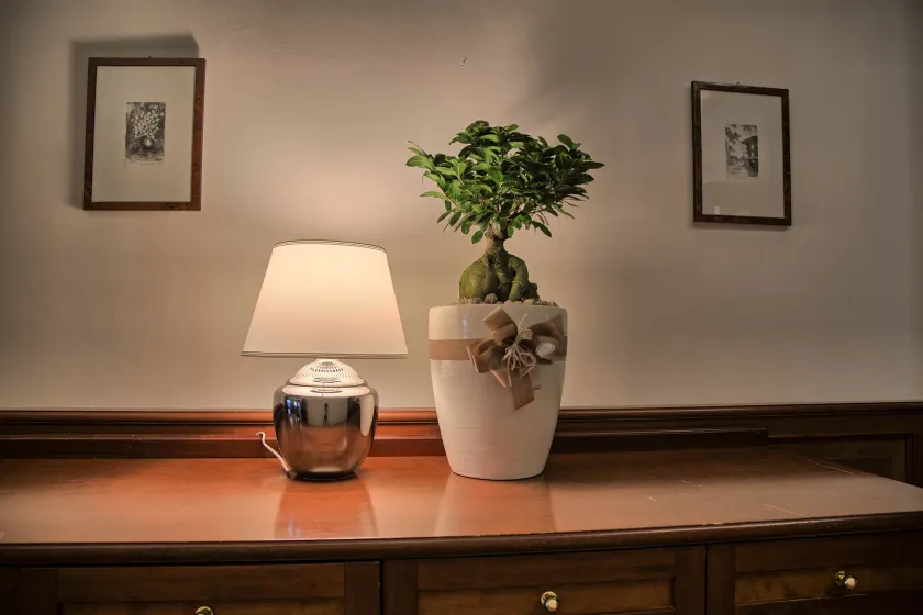 Hotel Palazzo Bello - Recepción