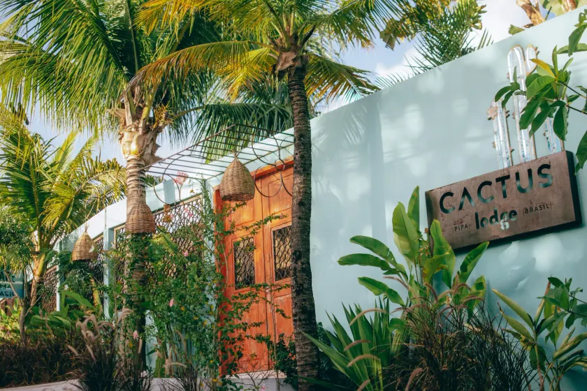 Cactus Lodge Pipa - Image 1