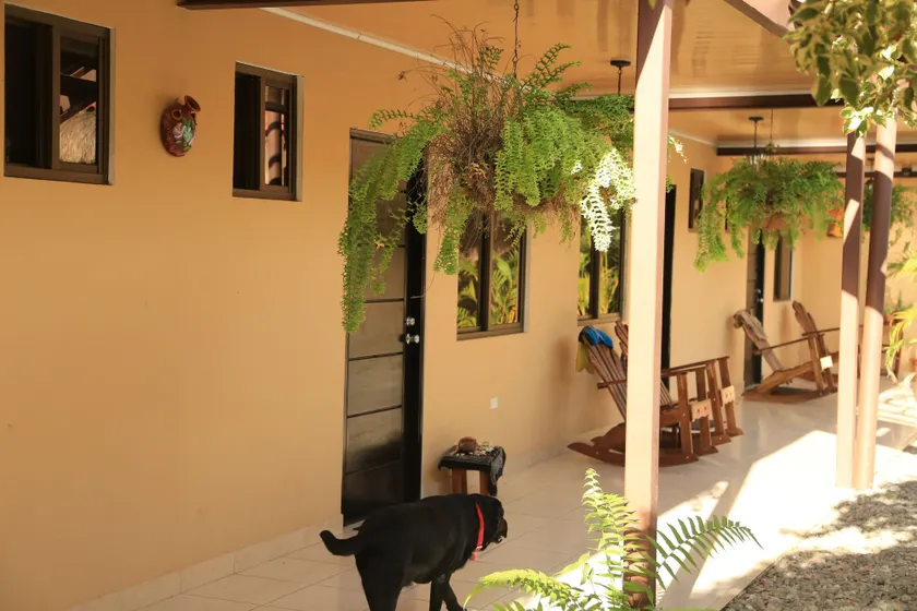 Roxy's Bed & Breakfast - Interior entrance